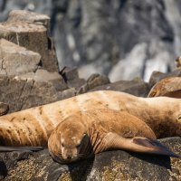 ... :: Жора Житников ... :: Жора Житников