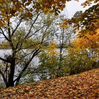 Вдоль обрыва, по-над пропастью, по самому по краю,,,, :: Анатолий Колосов