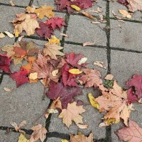 ,,, :: Сергей Тимоновский