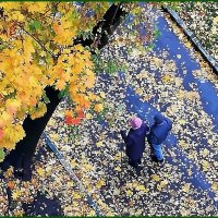 Прогулка в осень. :: Ольга Довженко