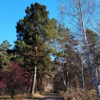 Прекрасный день!!! :: Радмир Арсеньев