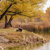 Осень в парке :: IRinA*** 