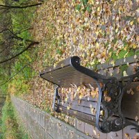 Парк осенний. :: Анна Воробьева