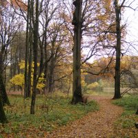 Парк осенний. "Утиный" пруд :: Анна Воробьева