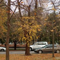 ... :: Светлана Ищенко