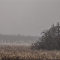 Октябрь :: Наталья Rosenwasser