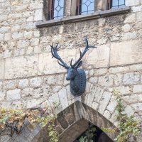 ... :: Светлана Ищенко ... :: Светлана Ищенко