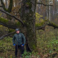 А дубы-колдуны что-то шепчут в тумане :: Сергей Цветков А дубы-колдуны что-то шепчут в тумане :: Сергей Цветков