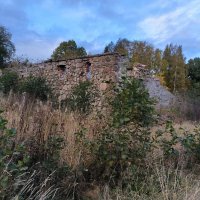 Руины усадьбы Нобеля. :: Ольга 