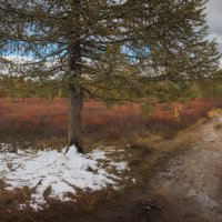 * :: Александр Иванов