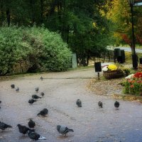 Встречающие и провожающие. :: Татьяна Помогалова