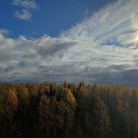 Осенние красоты :: Ирина Осенние красоты :: Ирина