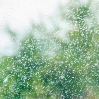 Дождь :: Галина Ложечникова