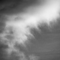 Кусочек :: Sergei Vikulov Кусочек :: Sergei Vikulov