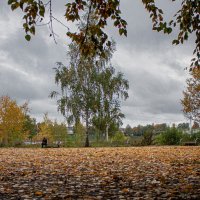 Савёлово, берег р.Волга :: Владимир Зеленцов