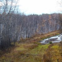 Осень :: Сергей Никифоров