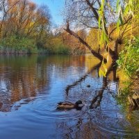 Осенний этюд :: Андрей K.