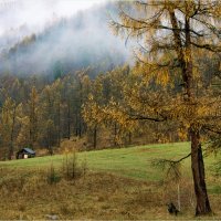 Туманное утро...Алтай :: Алексей Мезенцев Туманное утро...Алтай :: Алексей Мезенцев