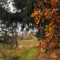 Осенний Сюжет :: юрий поляков