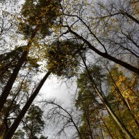 Усадьба. Осень. :: tatiana Усадьба. Осень. :: tatiana