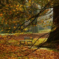 Осенняя скамейка :: Юрий. Шмаков