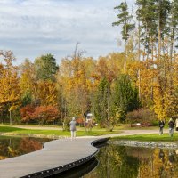 В Мещерском парке :: Владимир Езеров 