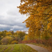 Ландшафтный парк :: Олег Дорошенко