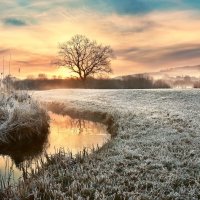winter morning :: Elena Wymann winter morning :: Elena Wymann