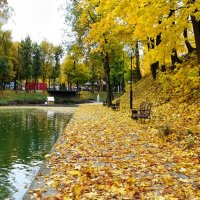 Осенний сад. :: Милешкин Владимир Алексеевич 