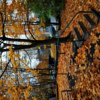 И поход в п-ку на перевязку на что-нибудь годится; тема с вариацией :: Андрей Лукьянов