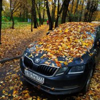 И поход в п-ку на перевязку на что-нибудь годится :: Андрей Лукьянов