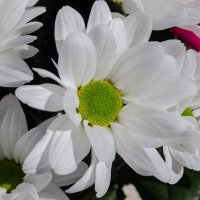 *** :: Виктор Иванович Чернюк