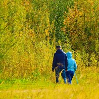 Финская ходьба на пару! :: Владимир Финская ходьба на пару! :: Владимир