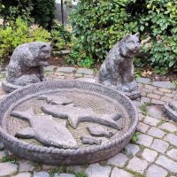 В Зеленоградске. :: Ольга 