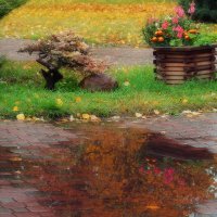 Лужи, оставшиеся после дождя, невероятно красивы! :: Татьяна Помогалова Лужи, оставшиеся после дождя, невероятно красивы! :: Татьяна Помогалова