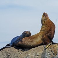 С мамой :: ИРЭН@ .