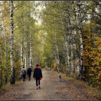 *** :: Aleksandr Gal