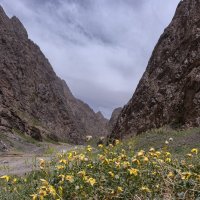 в горах  Гурван-Сайхан-Уул :: Galina 