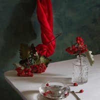 Этюд с красным цветом :: Наталья S