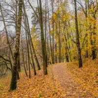 Октябрь в Царицыно... :: Владимир Жданов