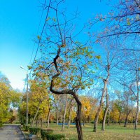 Ростовская осень :: Нина Бутко