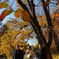 тили-тили... :: sv.kaschuk 