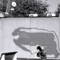 Тараканище :: sv.kaschuk 