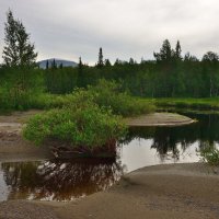 *** :: Александр Хаецкий *** :: Александр Хаецкий