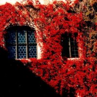 Осень 3 :: Алексей Кузнецов