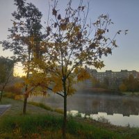 Рассвет :: Сапсан 