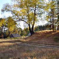 За околицей :: Galina Solovova