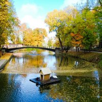 Осенний сад. :: Милешкин Владимир Алексеевич Осенний сад. :: Милешкин Владимир Алексеевич