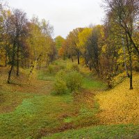 Осень в Царицыно :: Ольга 
