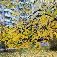 ,,, :: Сергей Тимоновский ,,, :: Сергей Тимоновский